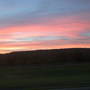 Meet your Posher, Vipra